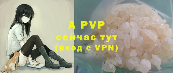 ПСИЛОЦИБИНОВЫЕ ГРИБЫ Беломорск
