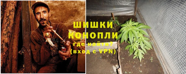 амф Белокуриха
