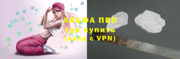 ПСИЛОЦИБИНОВЫЕ ГРИБЫ Беломорск