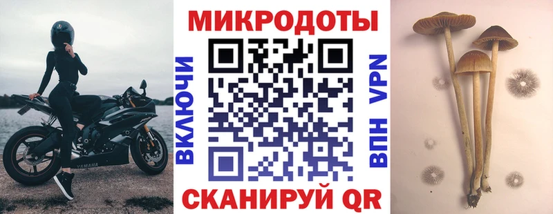 Галлюциногенные грибы Psilocybe  Топки 